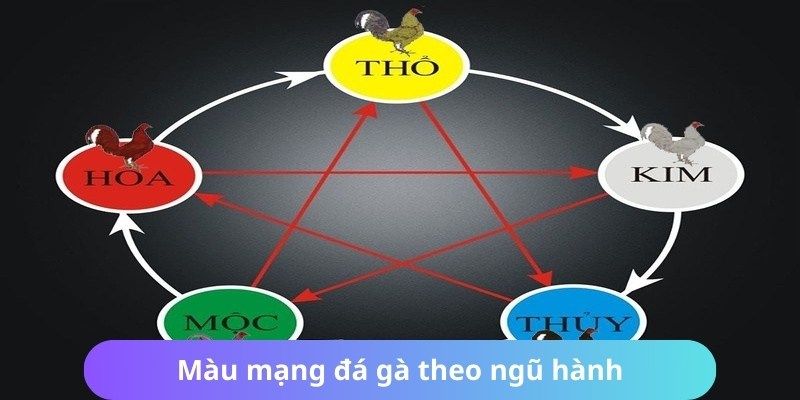 Màu Mạng Đá Gà