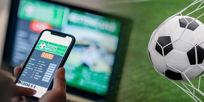 Trọng Bạn Cần Biết Miễn trách nhiệm